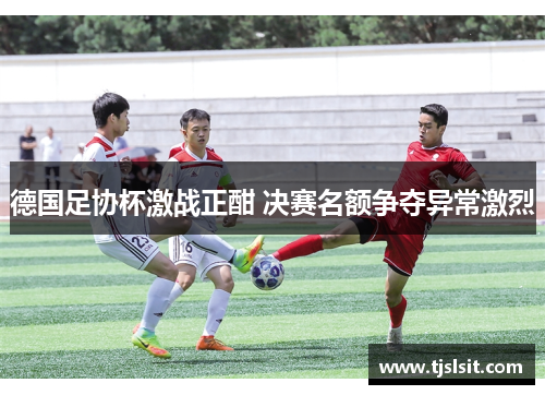德国足协杯激战正酣 决赛名额争夺异常激烈
