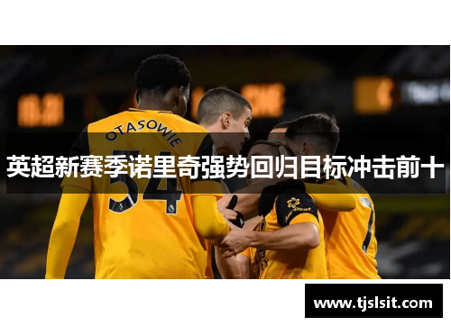 英超新赛季诺里奇强势回归目标冲击前十